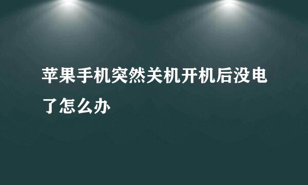 苹果手机突然关机开机后没电了怎么办