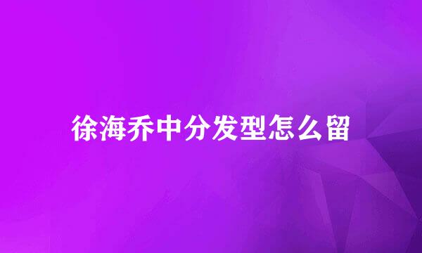 徐海乔中分发型怎么留