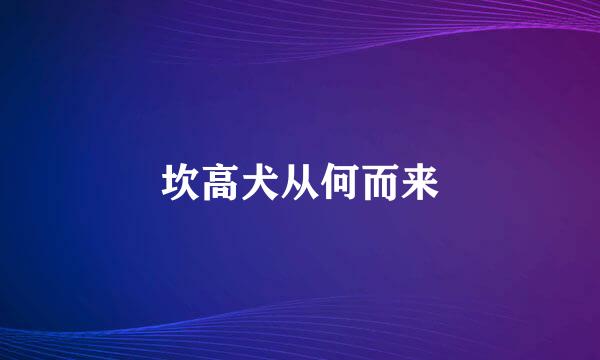坎高犬从何而来