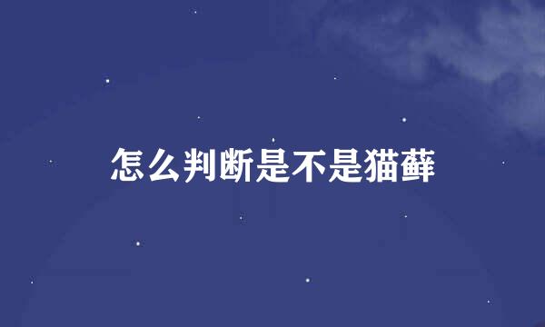 怎么判断是不是猫藓