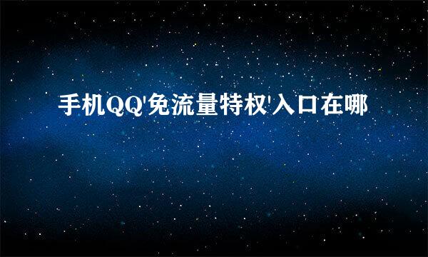 手机QQ'免流量特权'入口在哪