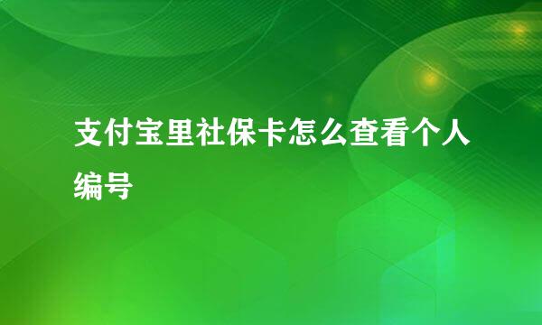 支付宝里社保卡怎么查看个人编号
