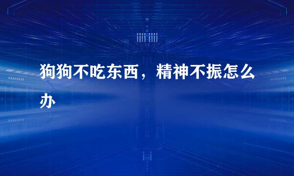 狗狗不吃东西，精神不振怎么办