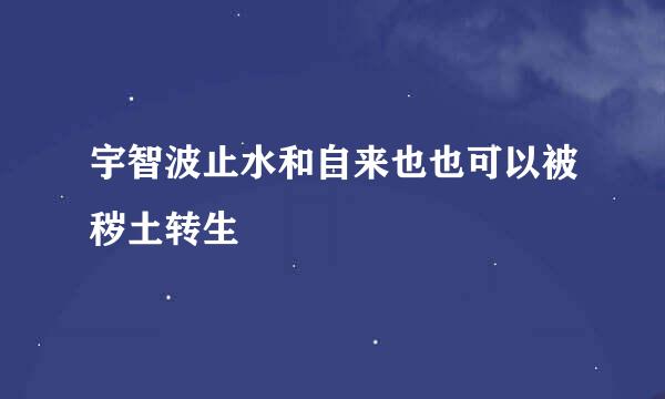 宇智波止水和自来也也可以被秽土转生