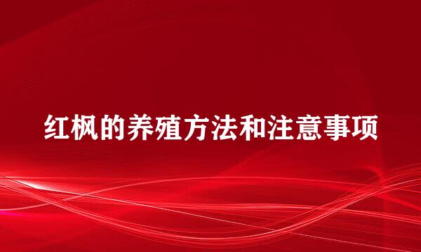 红枫的养殖方法和注意事项