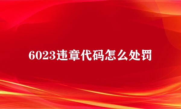 6023违章代码怎么处罚