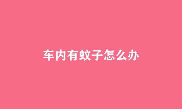 车内有蚊子怎么办