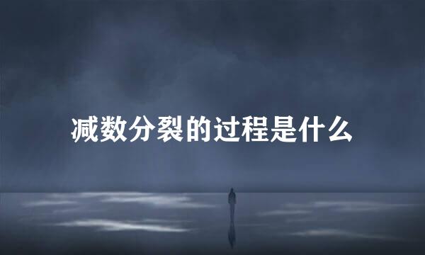 减数分裂的过程是什么