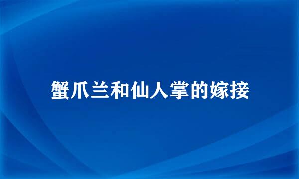 蟹爪兰和仙人掌的嫁接