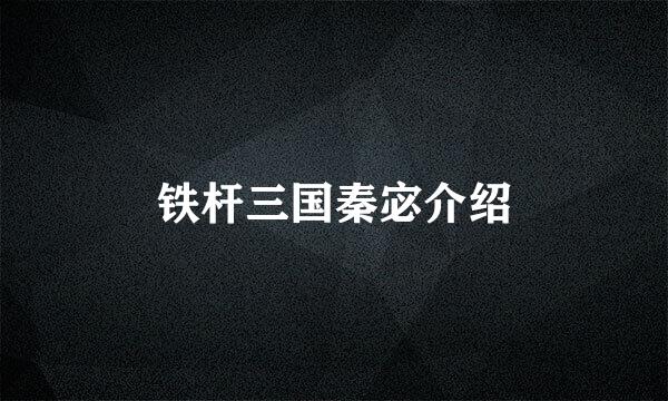 铁杆三国秦宓介绍