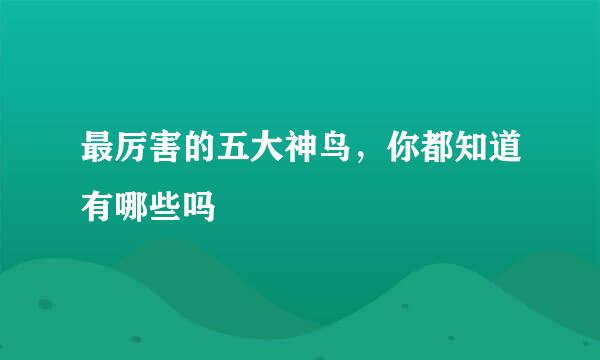 最厉害的五大神鸟，你都知道有哪些吗