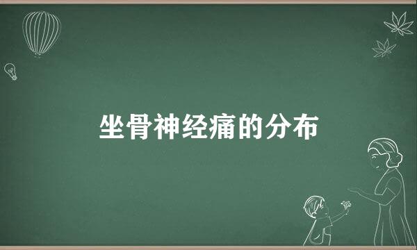 坐骨神经痛的分布