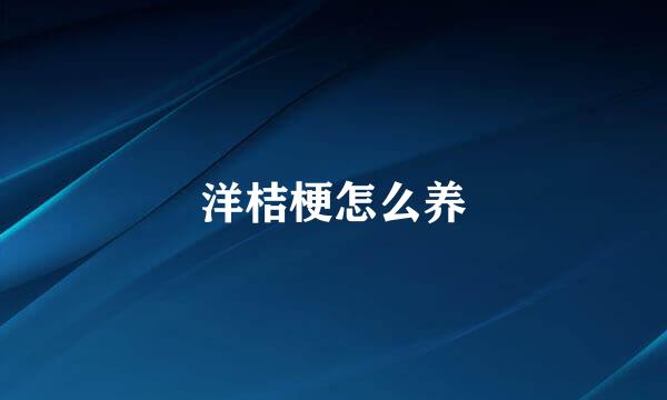 洋桔梗怎么养