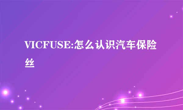 VICFUSE:怎么认识汽车保险丝