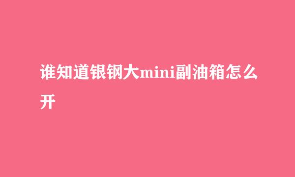 谁知道银钢大mini副油箱怎么开