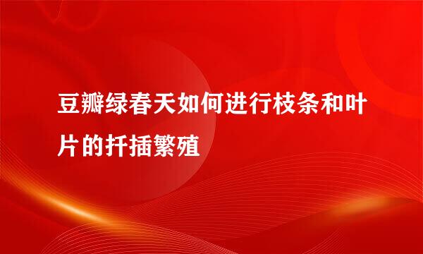 豆瓣绿春天如何进行枝条和叶片的扦插繁殖
