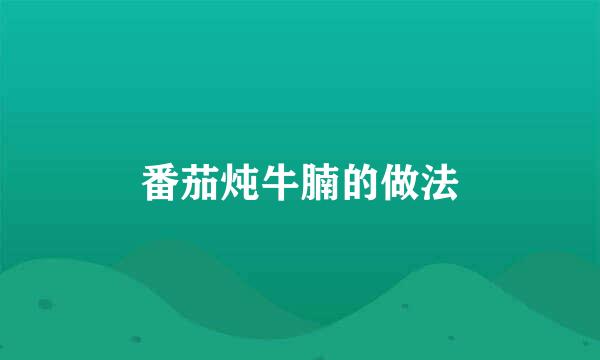 番茄炖牛腩的做法