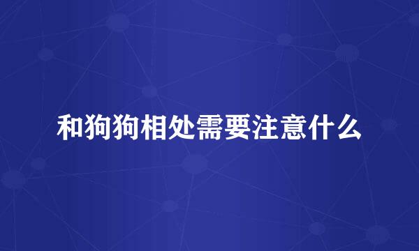 和狗狗相处需要注意什么