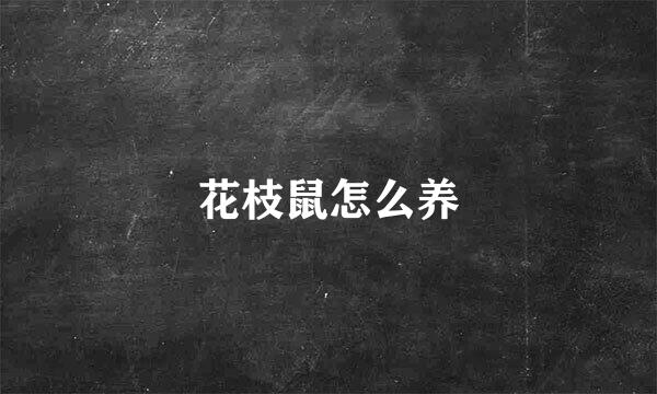花枝鼠怎么养