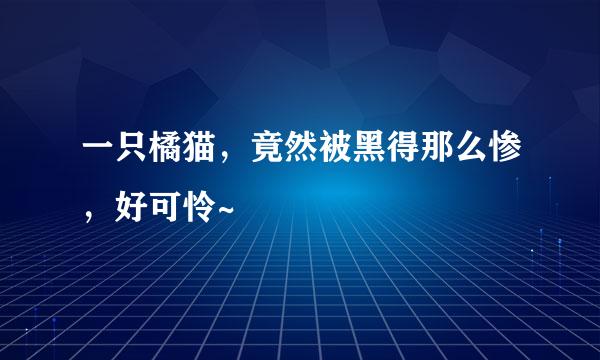 一只橘猫，竟然被黑得那么惨，好可怜~
