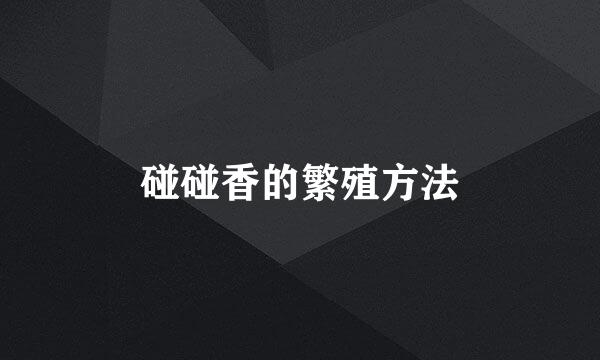 碰碰香的繁殖方法