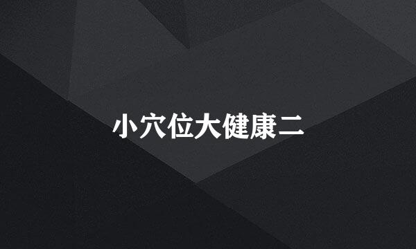 小穴位大健康二