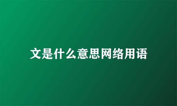 文是什么意思网络用语