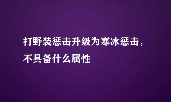 打野装惩击升级为寒冰惩击，不具备什么属性