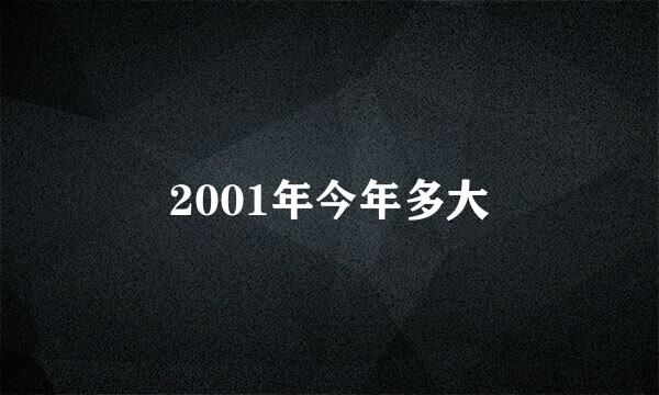 2001年今年多大