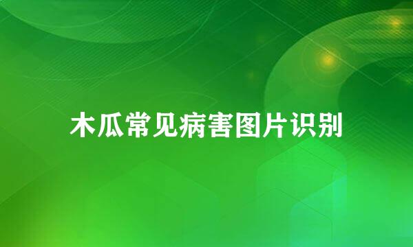 木瓜常见病害图片识别