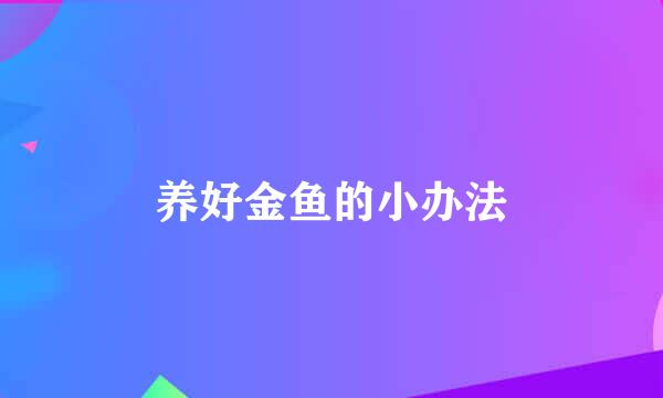养好金鱼的小办法