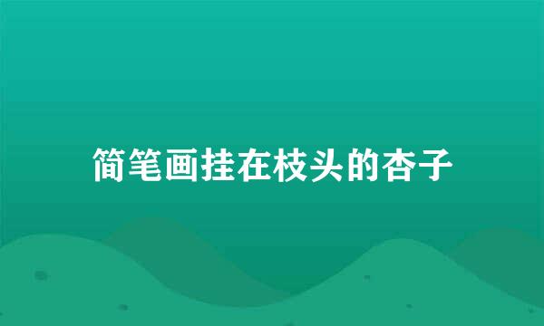 简笔画挂在枝头的杏子
