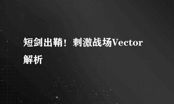 短剑出鞘！刺激战场Vector解析