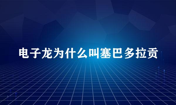 电子龙为什么叫塞巴多拉贡