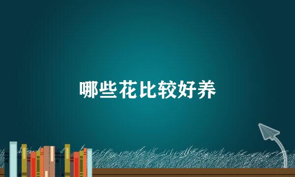 哪些花比较好养