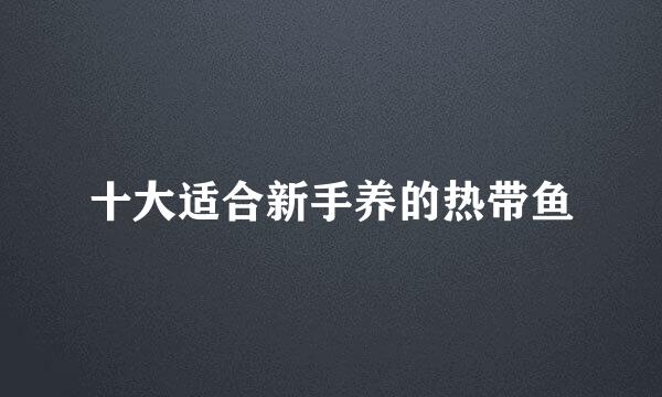 十大适合新手养的热带鱼