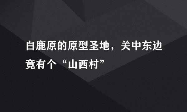 白鹿原的原型圣地，关中东边竟有个“山西村”