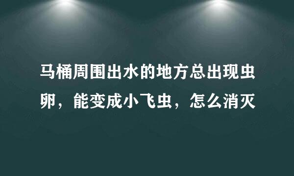 马桶周围出水的地方总出现虫卵，能变成小飞虫，怎么消灭