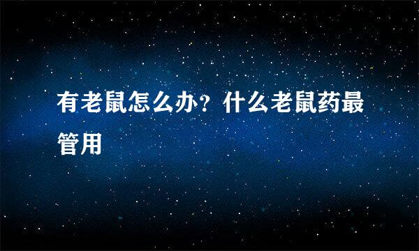 有老鼠怎么办？什么老鼠药最管用