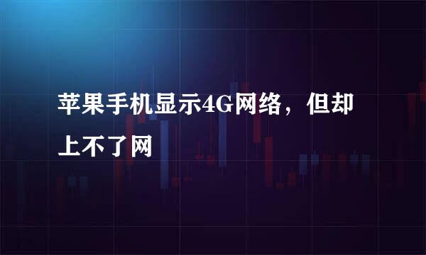 苹果手机显示4G网络，但却上不了网