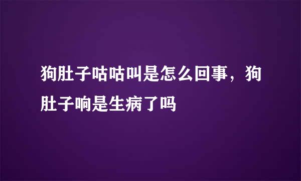 狗肚子咕咕叫是怎么回事，狗肚子响是生病了吗