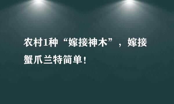农村1种“嫁接神木”，嫁接蟹爪兰特简单！