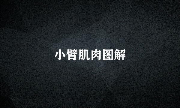 小臂肌肉图解