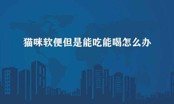 猫咪软便但是能吃能喝怎么办