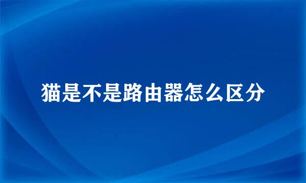 猫是不是路由器怎么区分