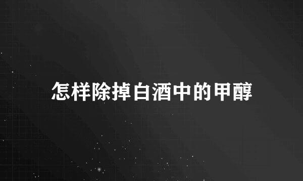 怎样除掉白酒中的甲醇
