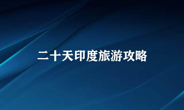 二十天印度旅游攻略