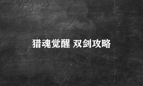 猎魂觉醒 双剑攻略