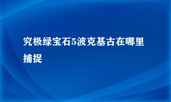 究极绿宝石5波克基古在哪里捕捉