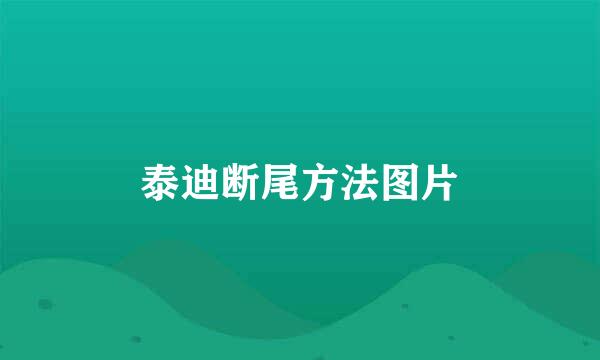 泰迪断尾方法图片